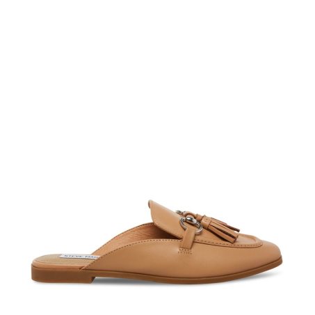 Mulas Steve Madden Cayler Cuero Mujer Marrones | ES VCS6E8